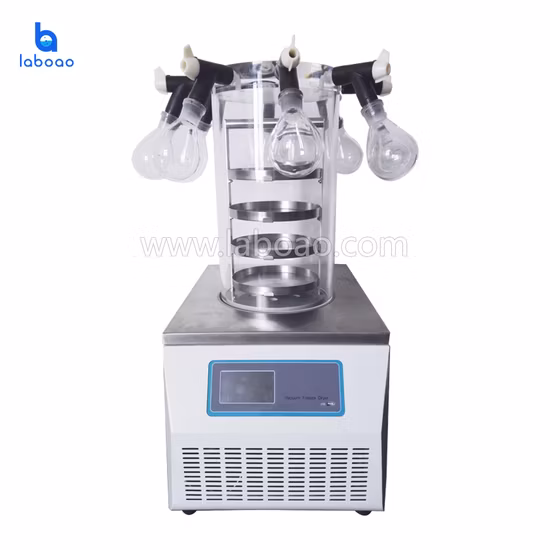 Mini Benchtop Freeze Dryer Equipment Price with Vacuum Pump
