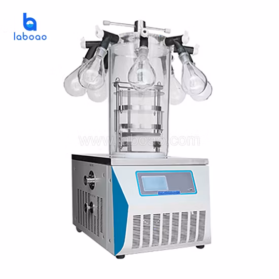 Mini Benchtop Freeze Dryer Equipment Price with Vacuum Pump
