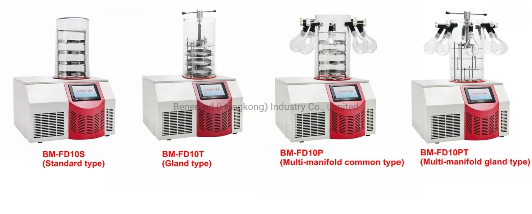 Benchtop Laboratory Vacuum Freeze Drying Machine for Sale Mini Freeze Dryer